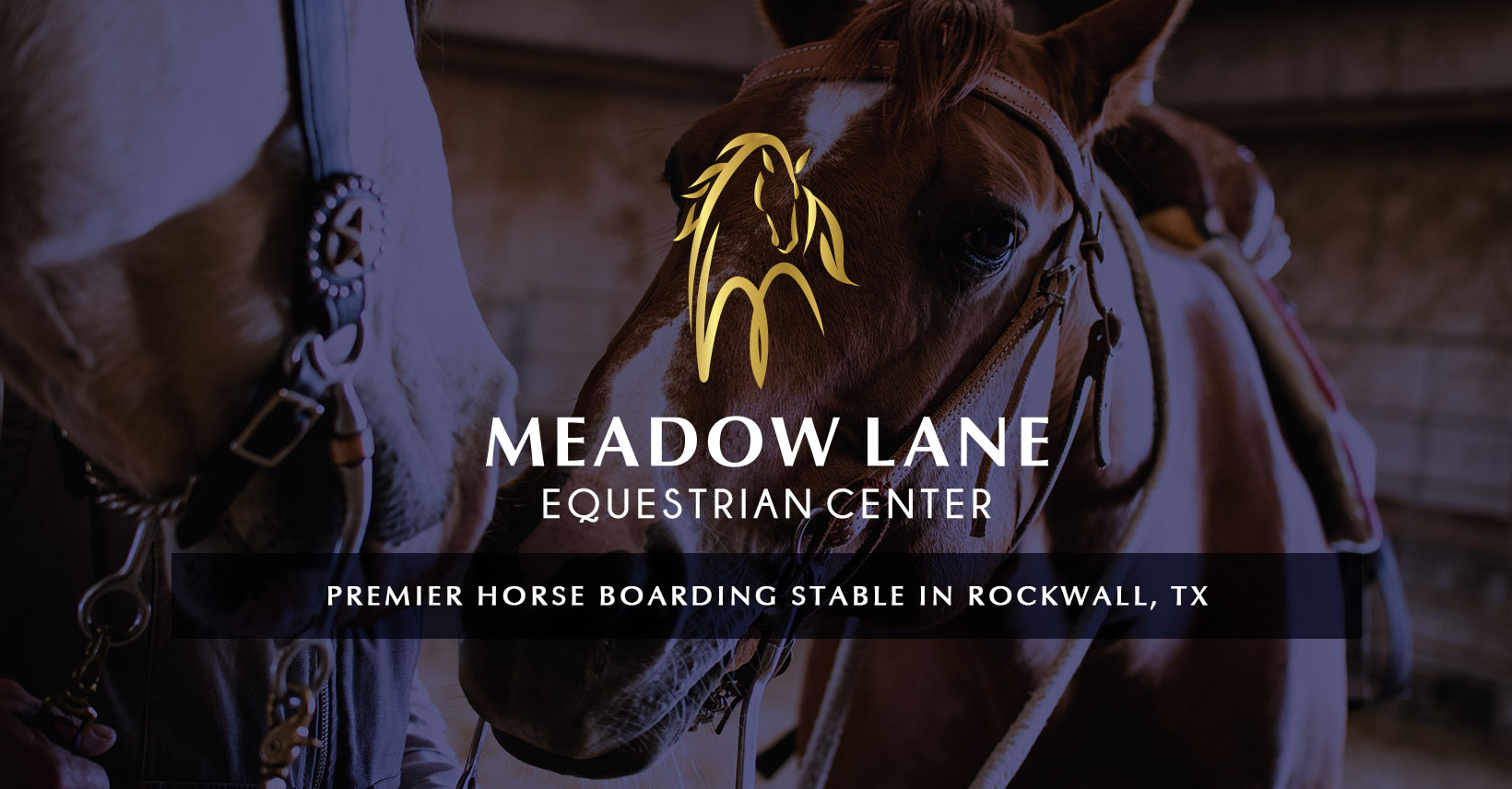 Horse Boarding in Rockwall, Texas Meadow Lane Equestrian